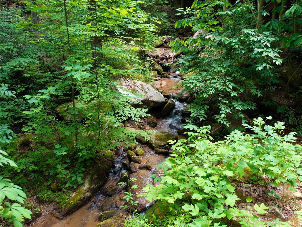 Lot 2072 Anthony Court Property Photo 15