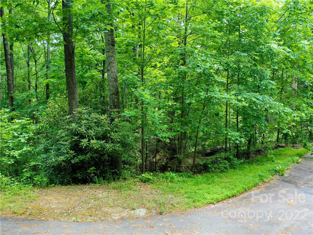 Lot 2072 Anthony Court Property Photo 17