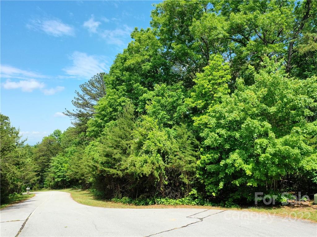 Lot 295 Eastman Place Property Photo 5