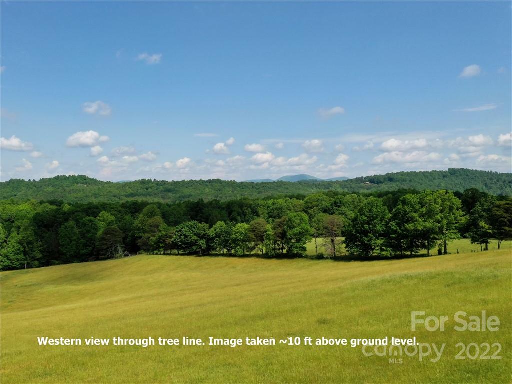 Lot 295 Eastman Place Property Photo 9