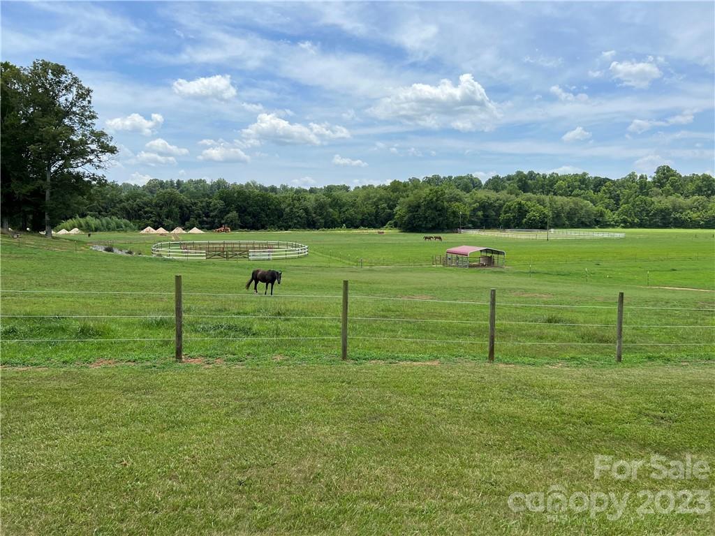 4338 Calico Road Property Photo 45