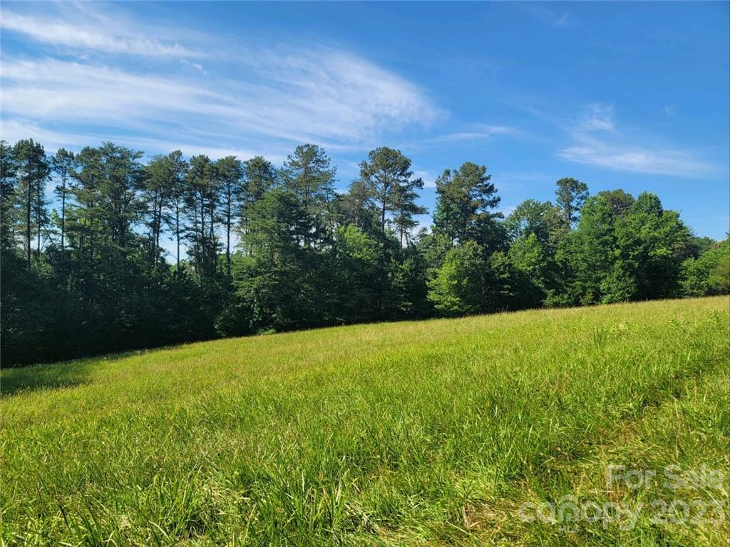 103 Torre Pellice Street Property Photo 1