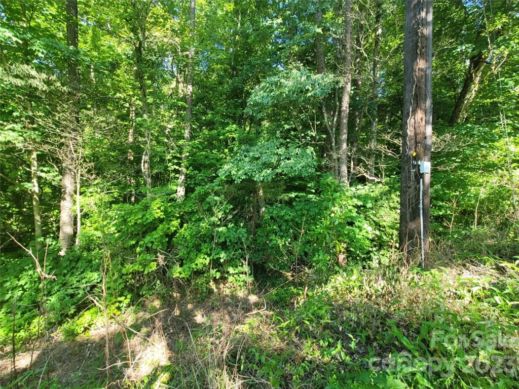 103 Torre Pellice Street Property Photo 6