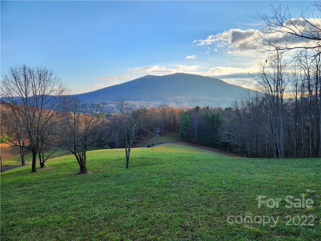 1240 Wade Bare Road Property Photo 2