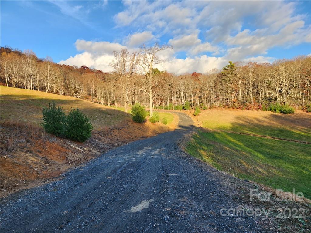 1240 Wade Bare Road Property Photo 3