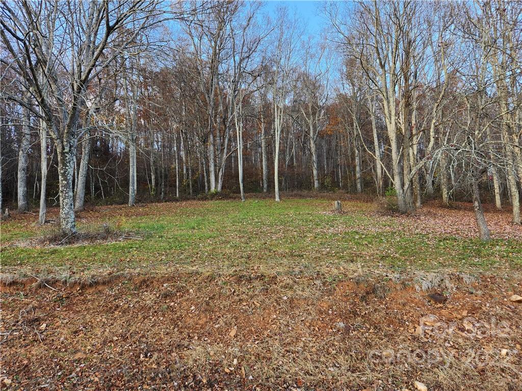 1240 Wade Bare Road Property Photo 4