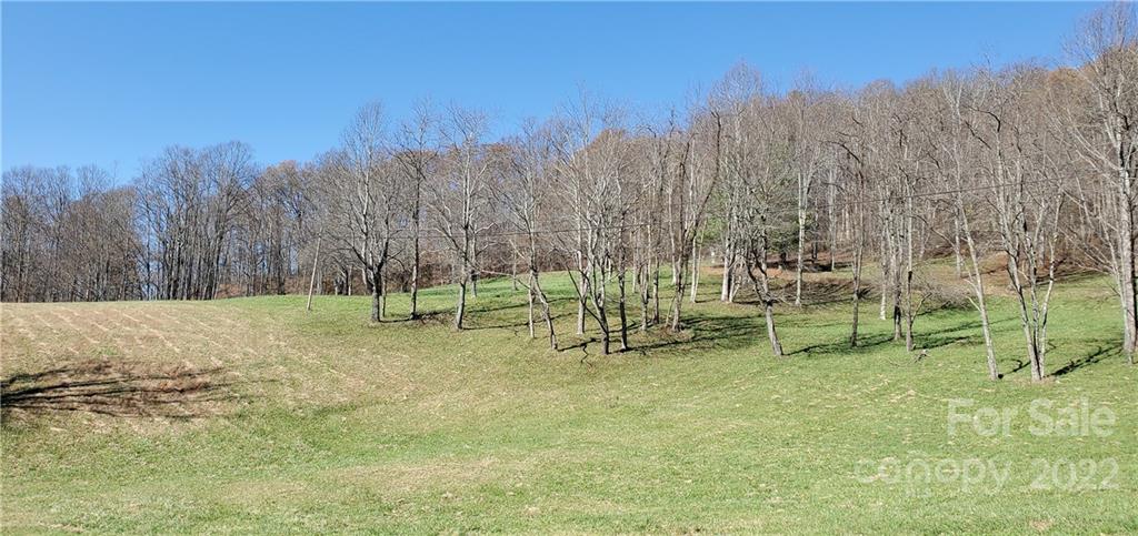 1240 Wade Bare Road Property Photo 25