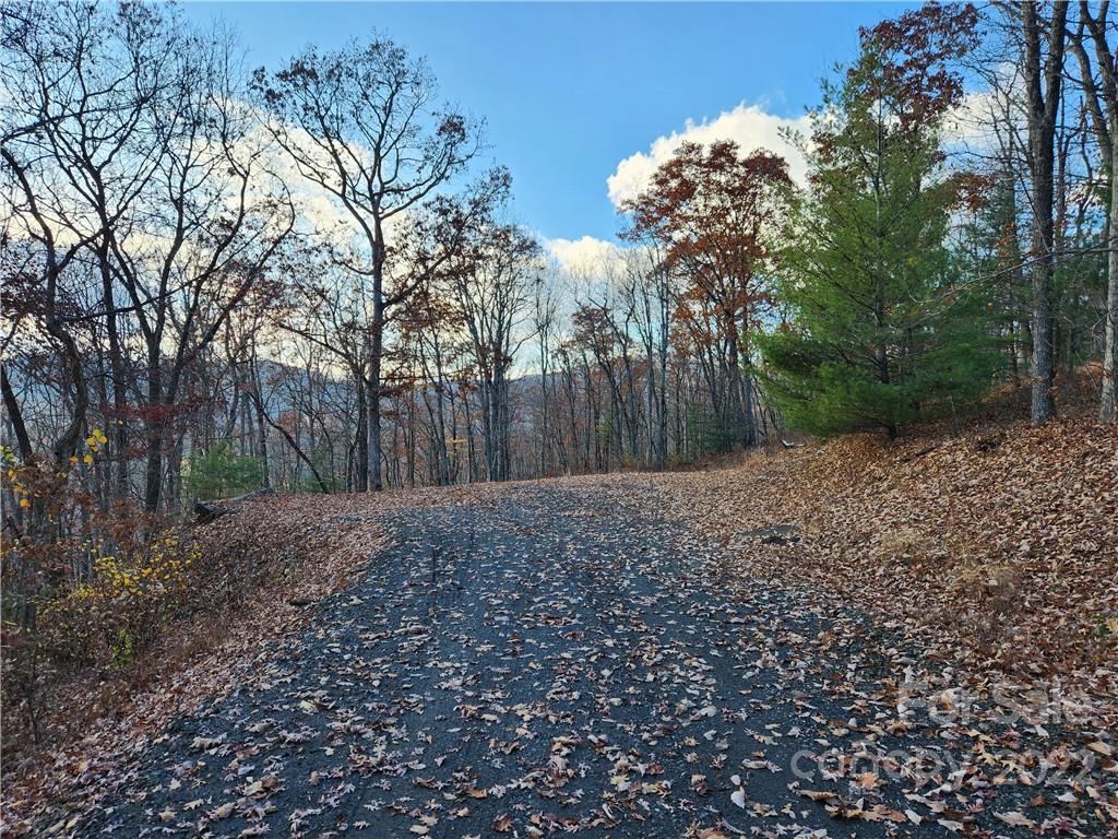 1240 Wade Bare Road Property Photo 29
