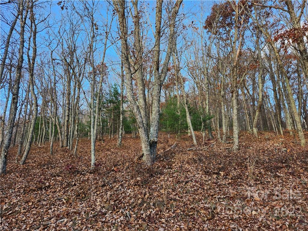 1240 Wade Bare Road Property Photo 30