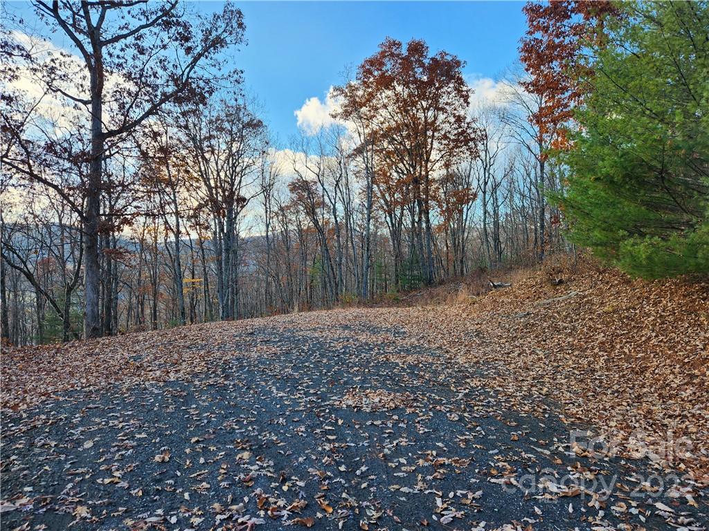 1240 Wade Bare Road Property Photo 31