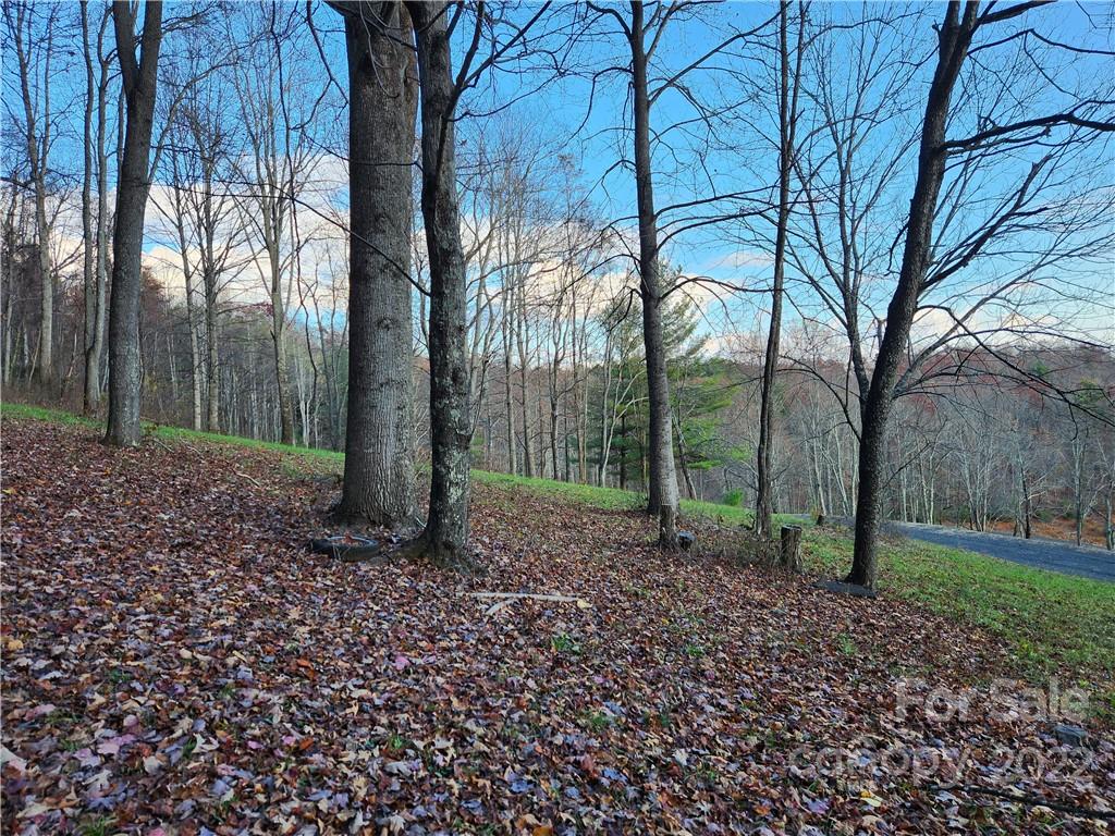 1240 Wade Bare Road Property Photo 35