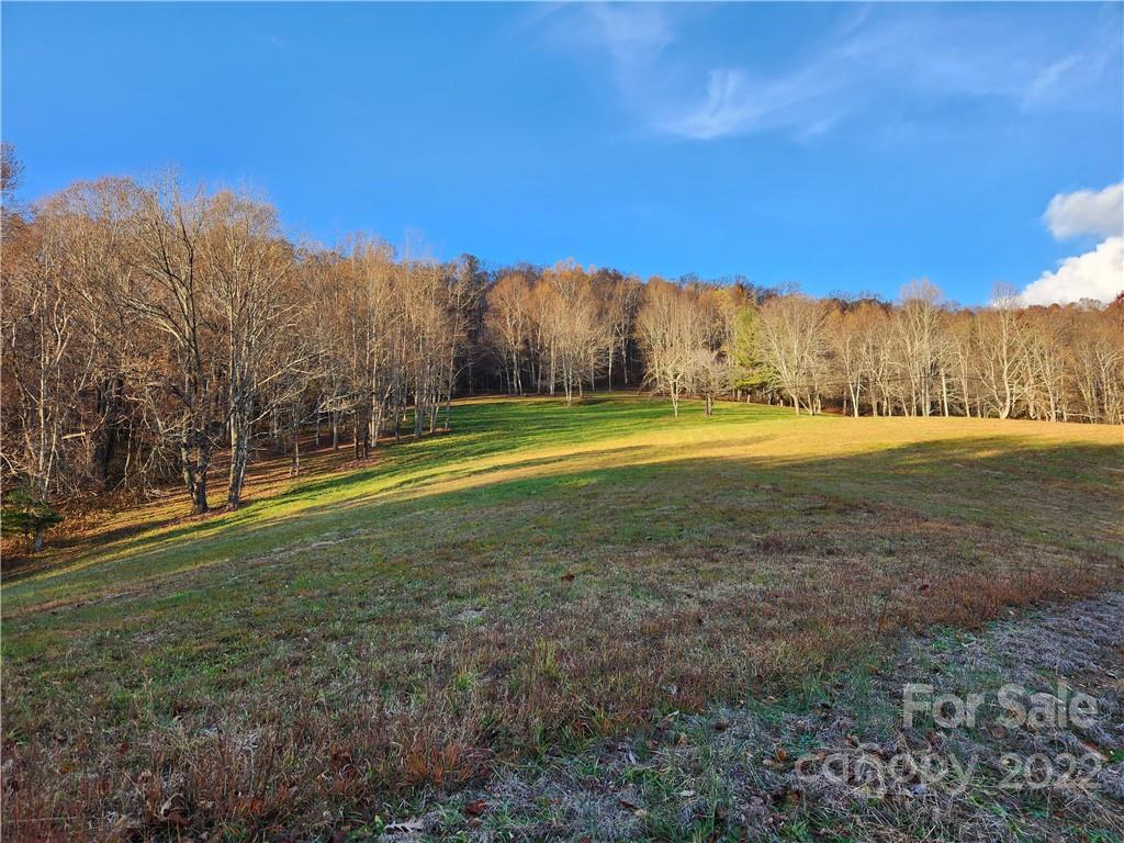1240 Wade Bare Road Property Photo 39