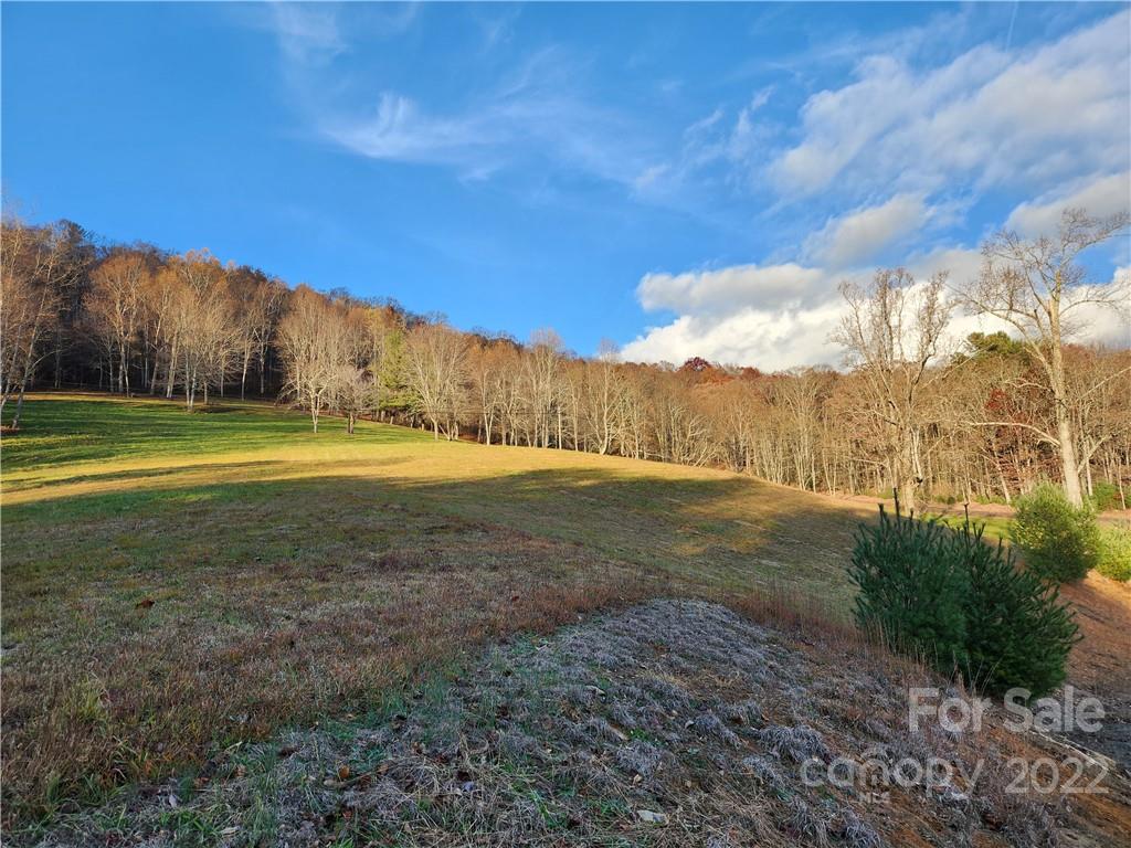 1240 Wade Bare Road Property Photo 40
