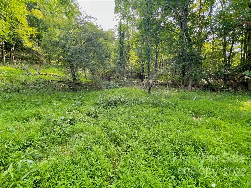 1125 Church Road Property Photo 37