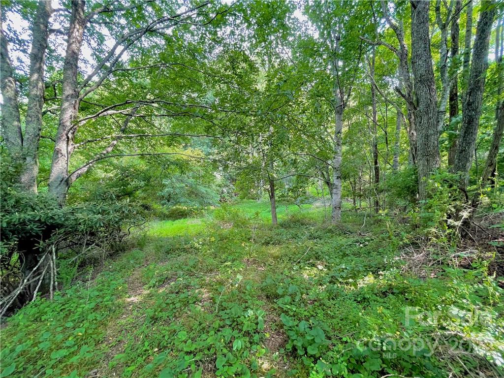 1125 Church Road Property Photo 38