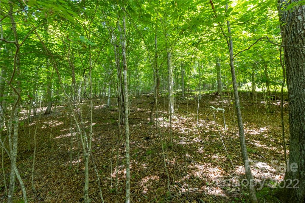 Tbd Rabbit Hop Road 16 Property Photo 2