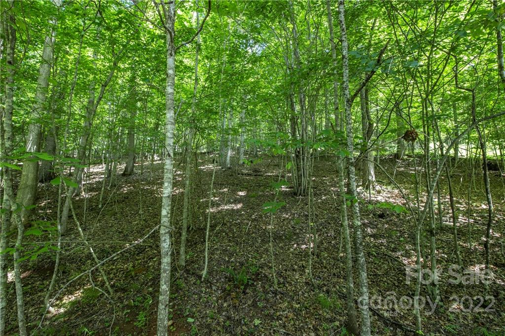 Tbd Rabbit Hop Road 16 Property Photo 4