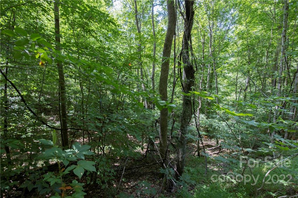 Tbd Rabbit Hop Road 16 Property Photo 5