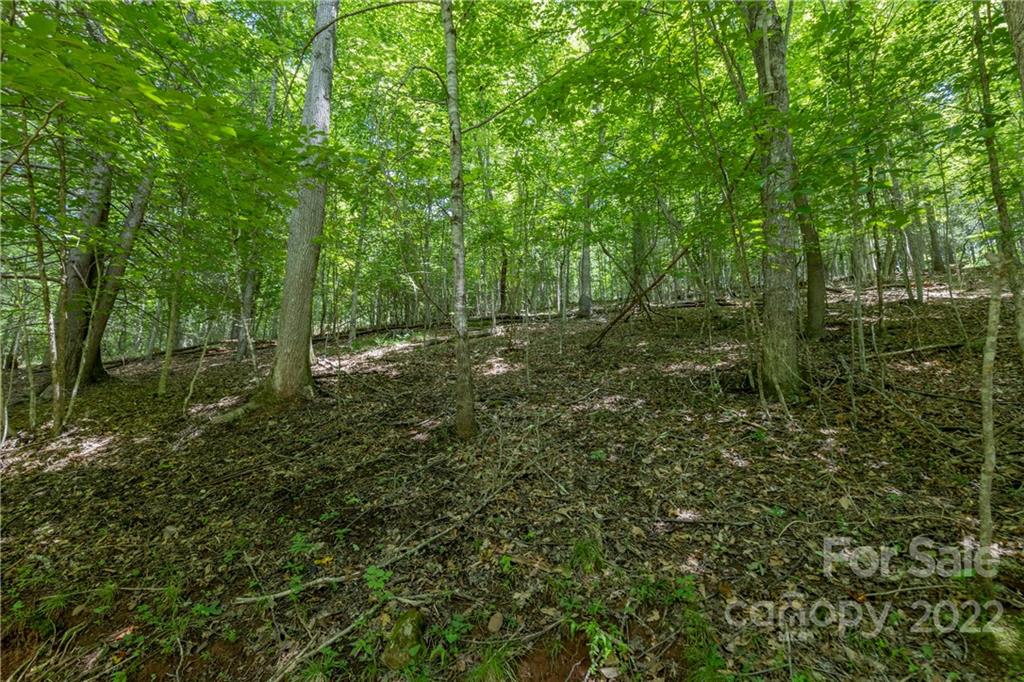 Tbd Rabbit Hop Road 16 Property Photo 6