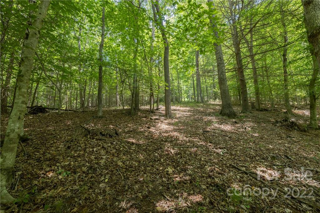 Tbd Rabbit Hop Road 16 Property Photo 8