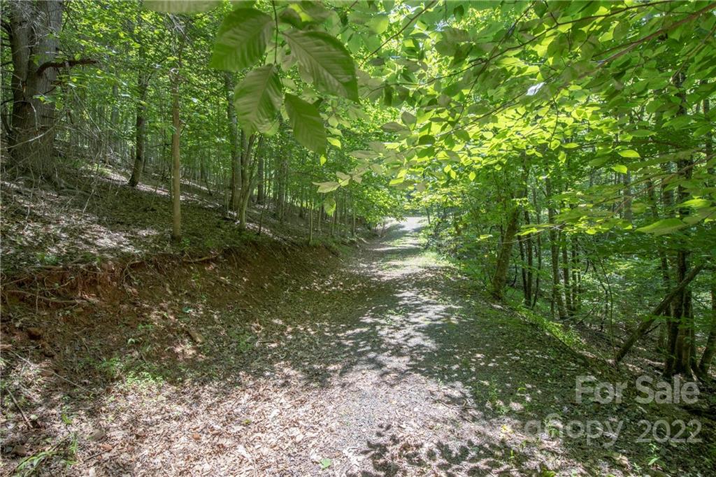 Tbd Rabbit Hop Road 16 Property Photo 9