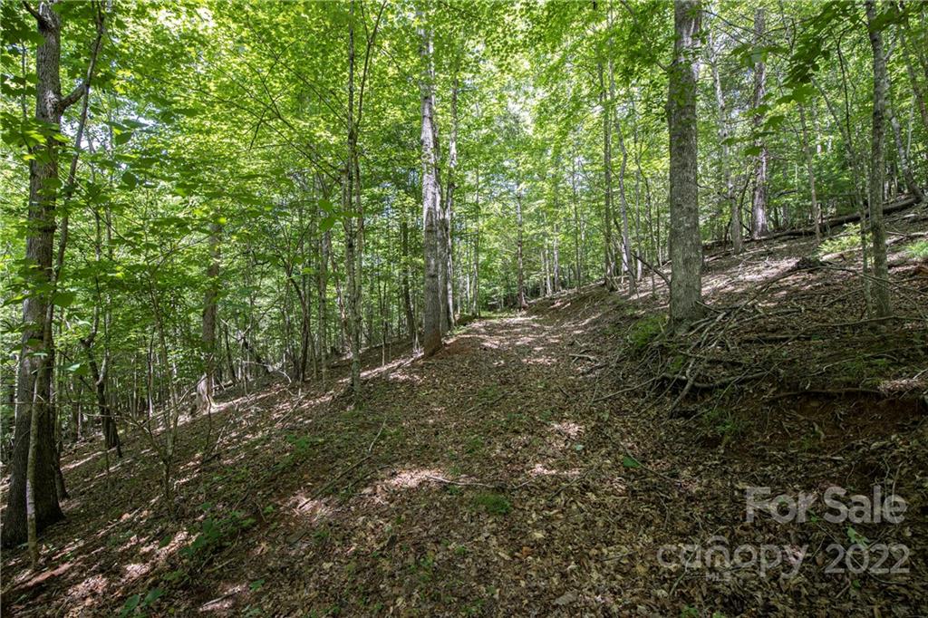 Tbd Rabbit Hop Road 16 Property Photo 10