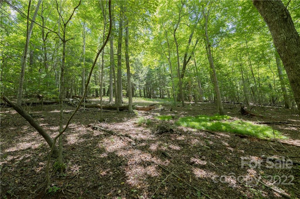 Tbd Rabbit Hop Road 16 Property Photo 11