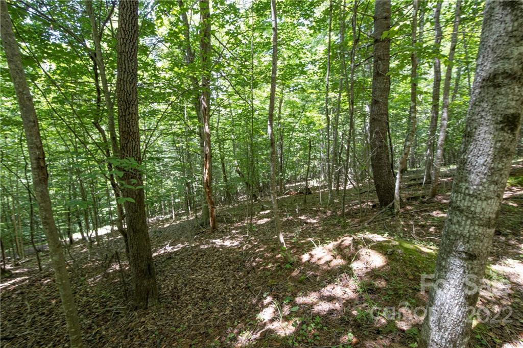 Tbd Rabbit Hop Road 16 Property Photo 12