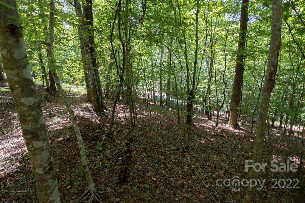 Tbd Rabbit Hop Road 16 Property Photo 14