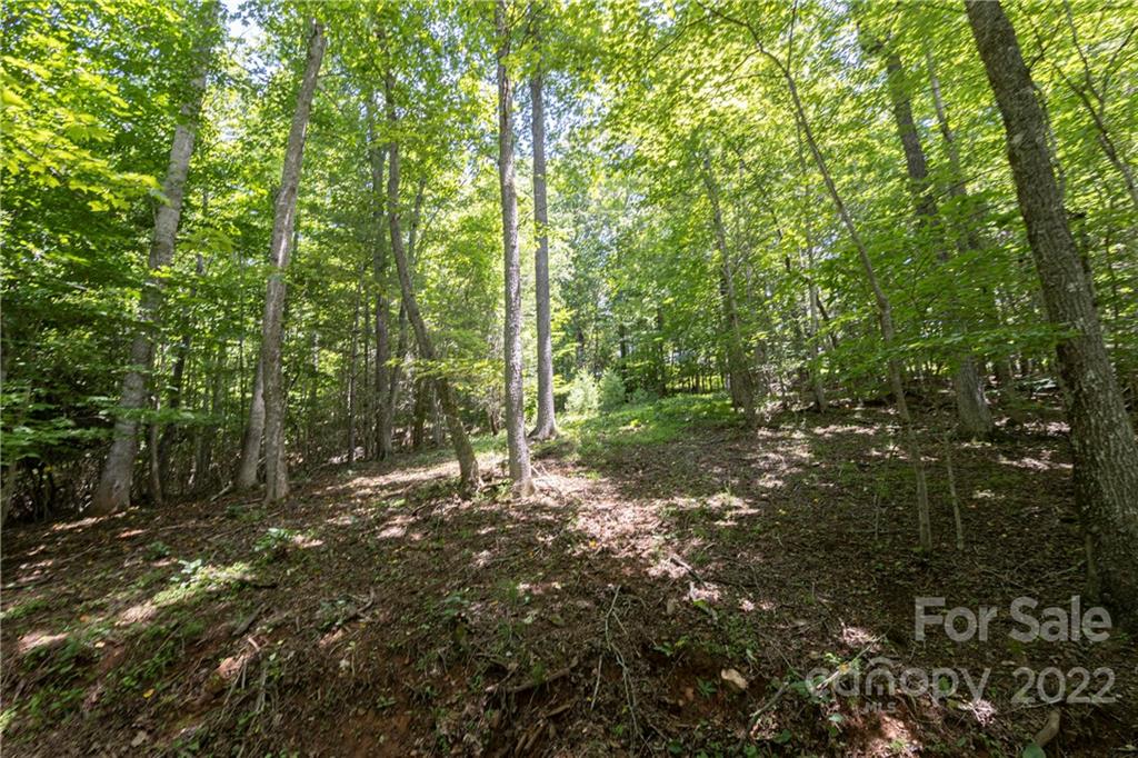 Tbd Rabbit Hop Road 16 Property Photo 15