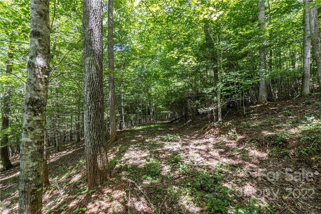 Tbd Rabbit Hop Road 16 Property Photo 16