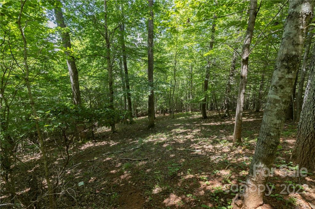 Tbd Rabbit Hop Road 16 Property Photo 17