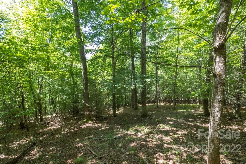 Tbd Rabbit Hop Road 16 Property Photo 18