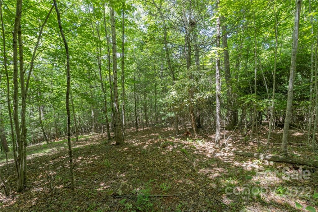 Tbd Rabbit Hop Road 16 Property Photo 19