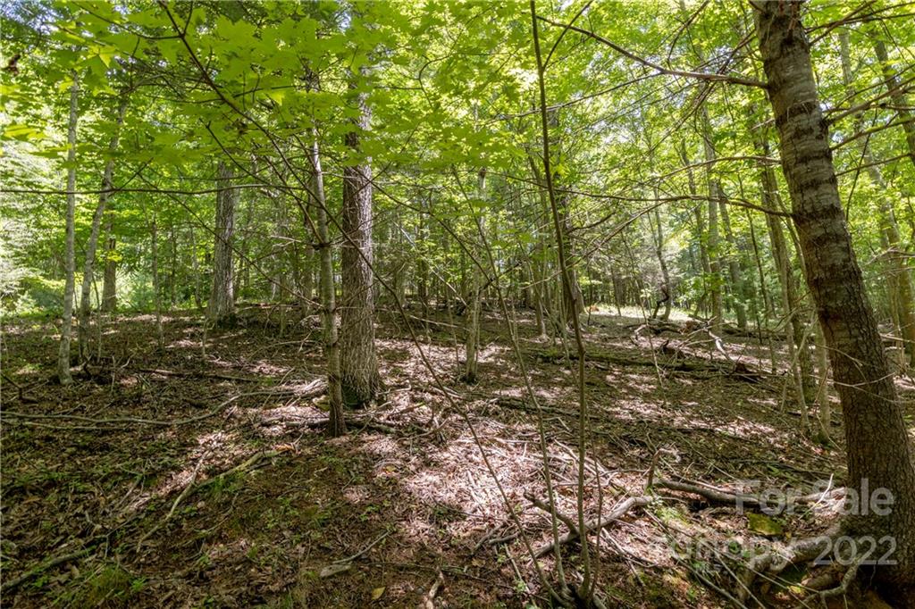 Tbd Rabbit Hop Road 16 Property Photo 20