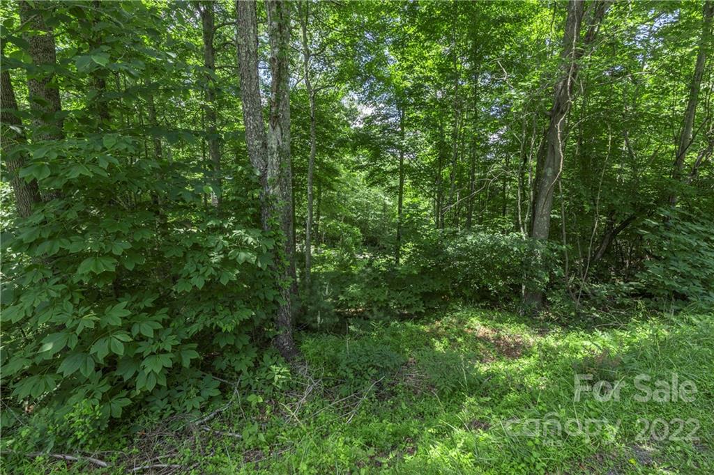 Tbd Rabbit Hop Road 16 Property Photo 21