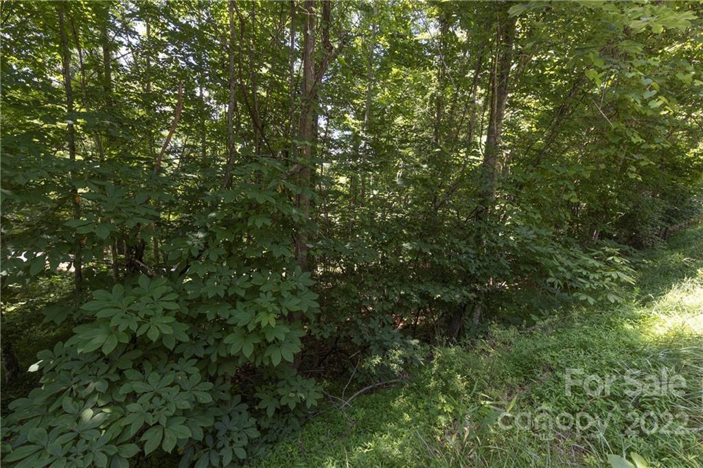 Tbd Rabbit Hop Road 16 Property Photo 22