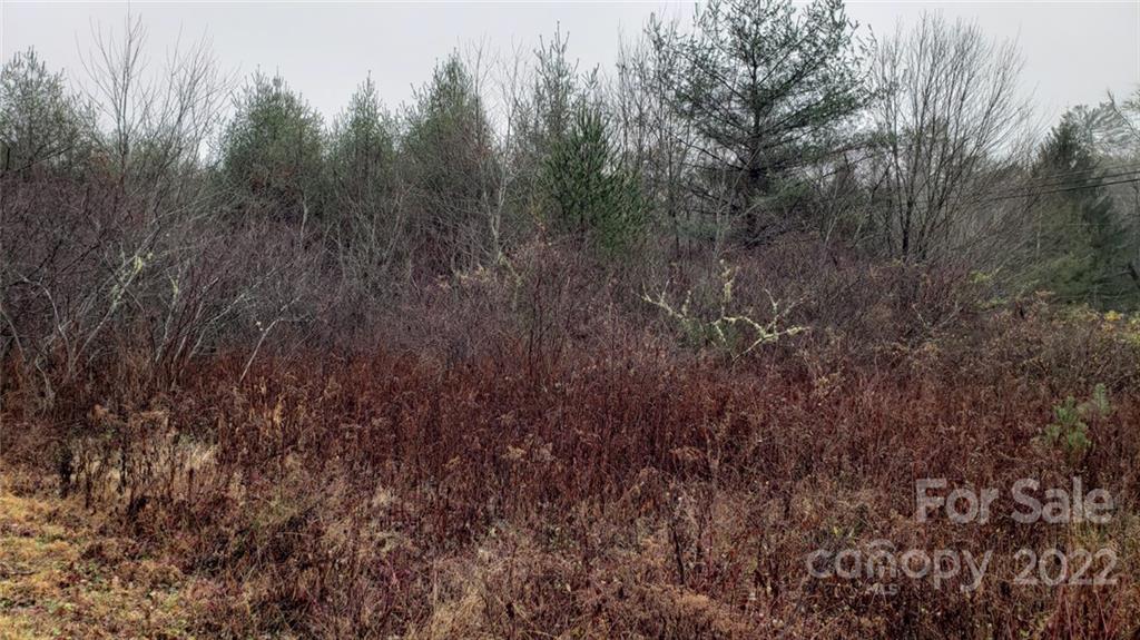 000 Greenville Highway Property Photo 2