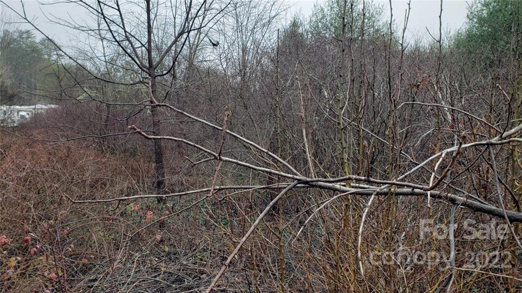 000 Greenville Highway Property Photo 4