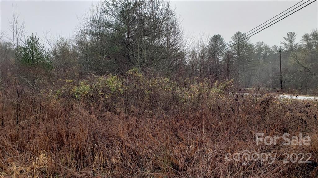 000 Greenville Highway Property Photo 7
