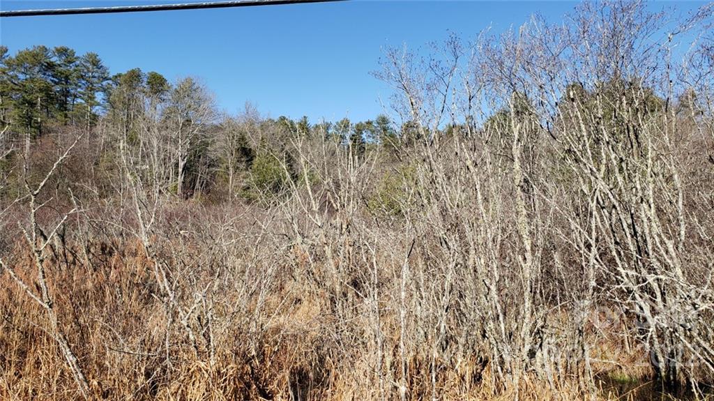 000 Greenville Highway Property Photo 9