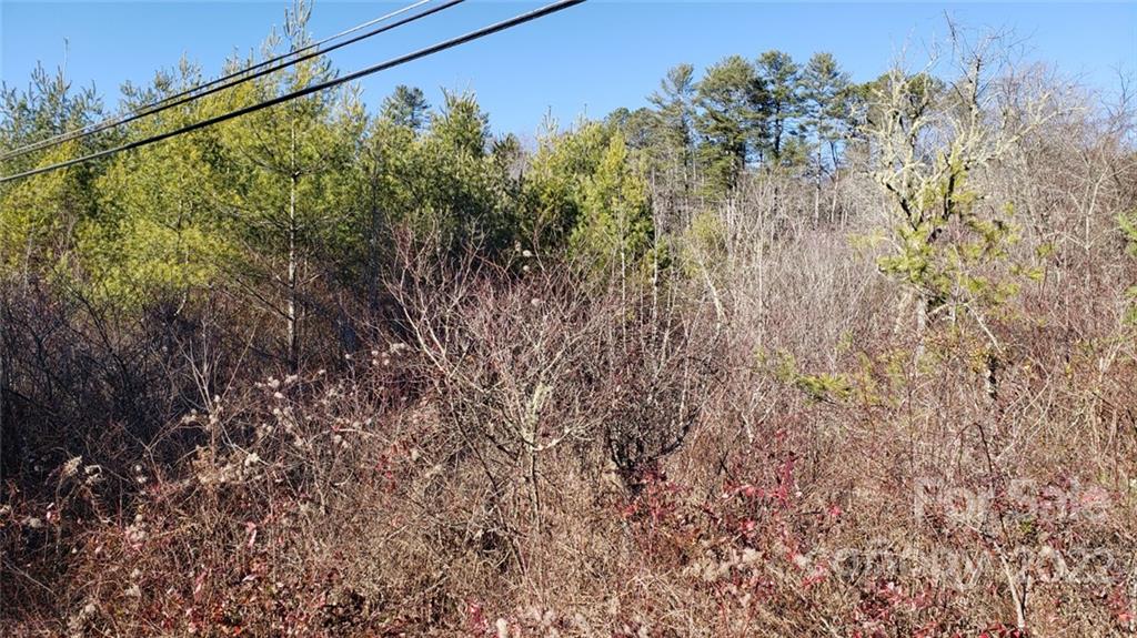 000 Greenville Highway Property Photo 10