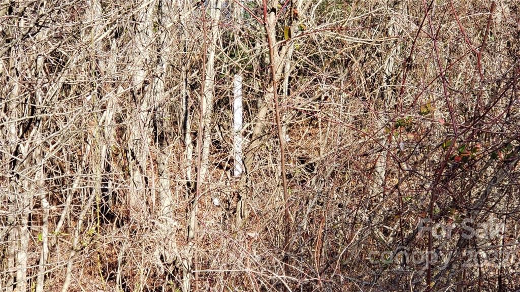 000 Greenville Highway Property Photo 16