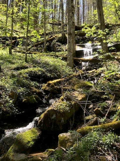 976 Slippery Rock Road Property Photo
