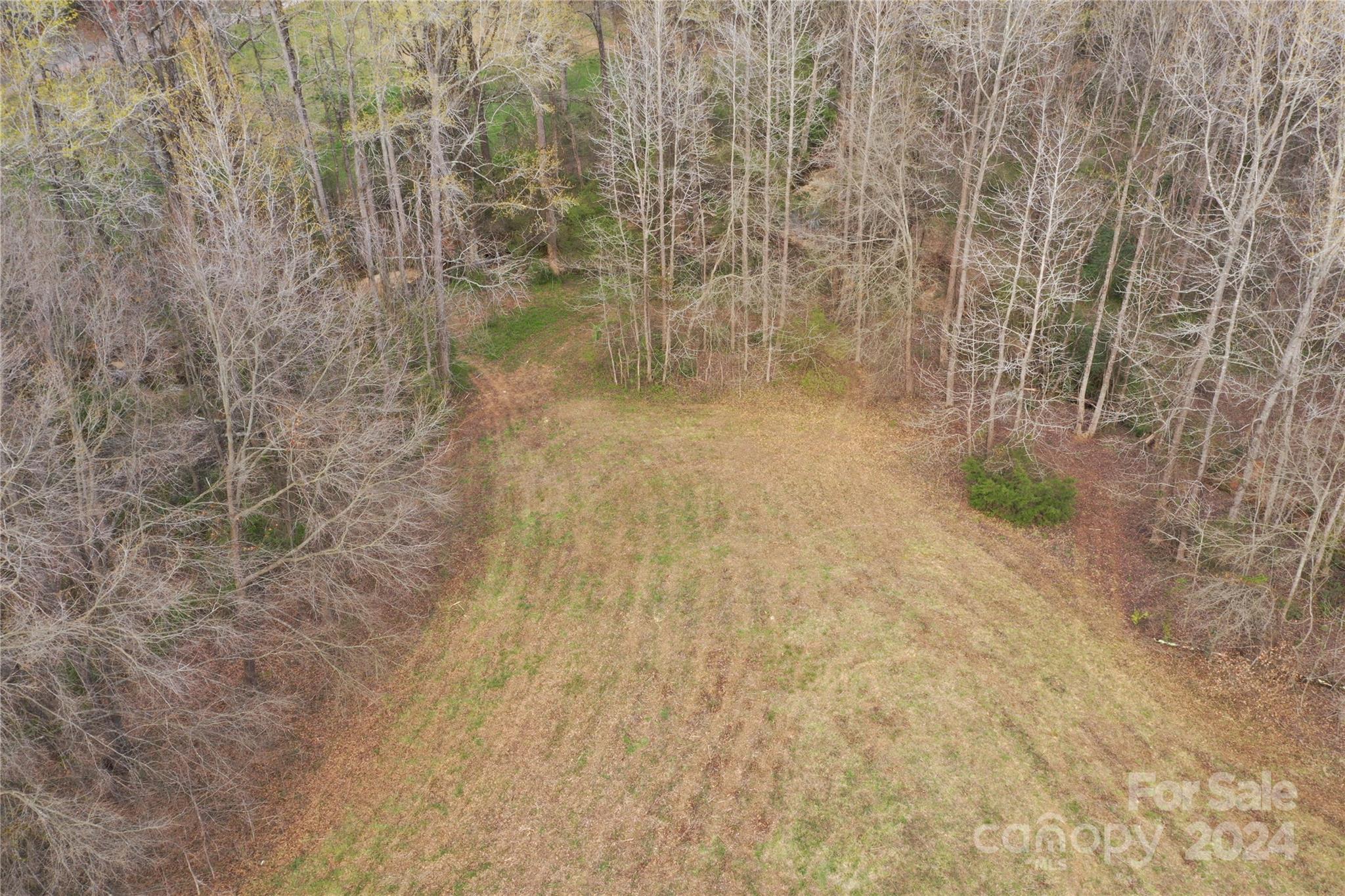Tbd Patrick Avenue Property Photo 3