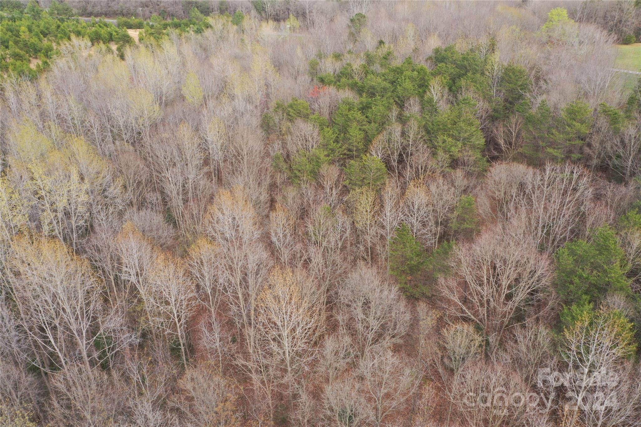 Tbd Patrick Avenue Property Photo 14