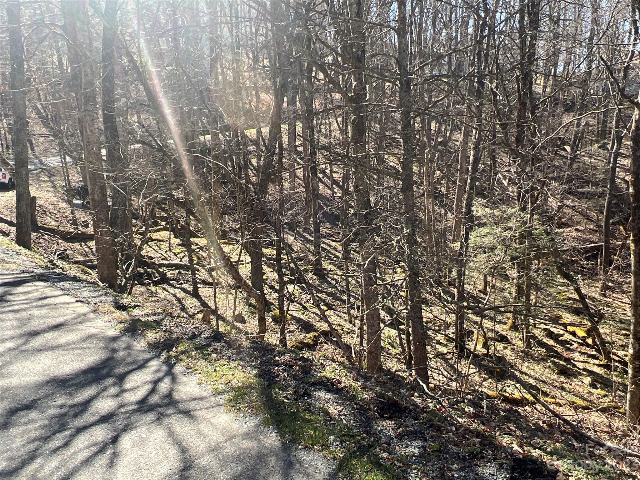 Lot 77 Rock Spring Circle Property Photo 1