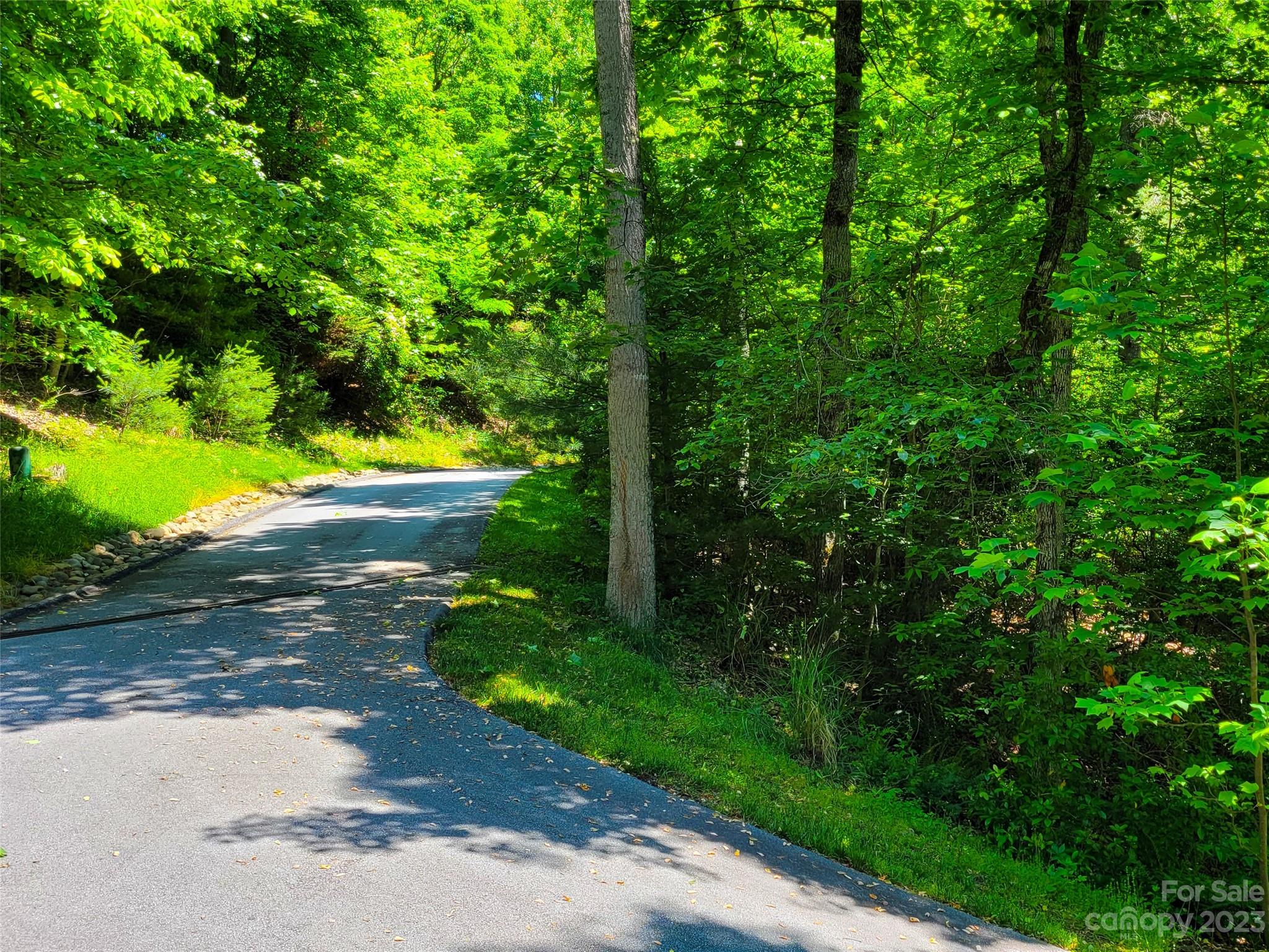 216 Bent Pine Trace 174 Property Photo 2