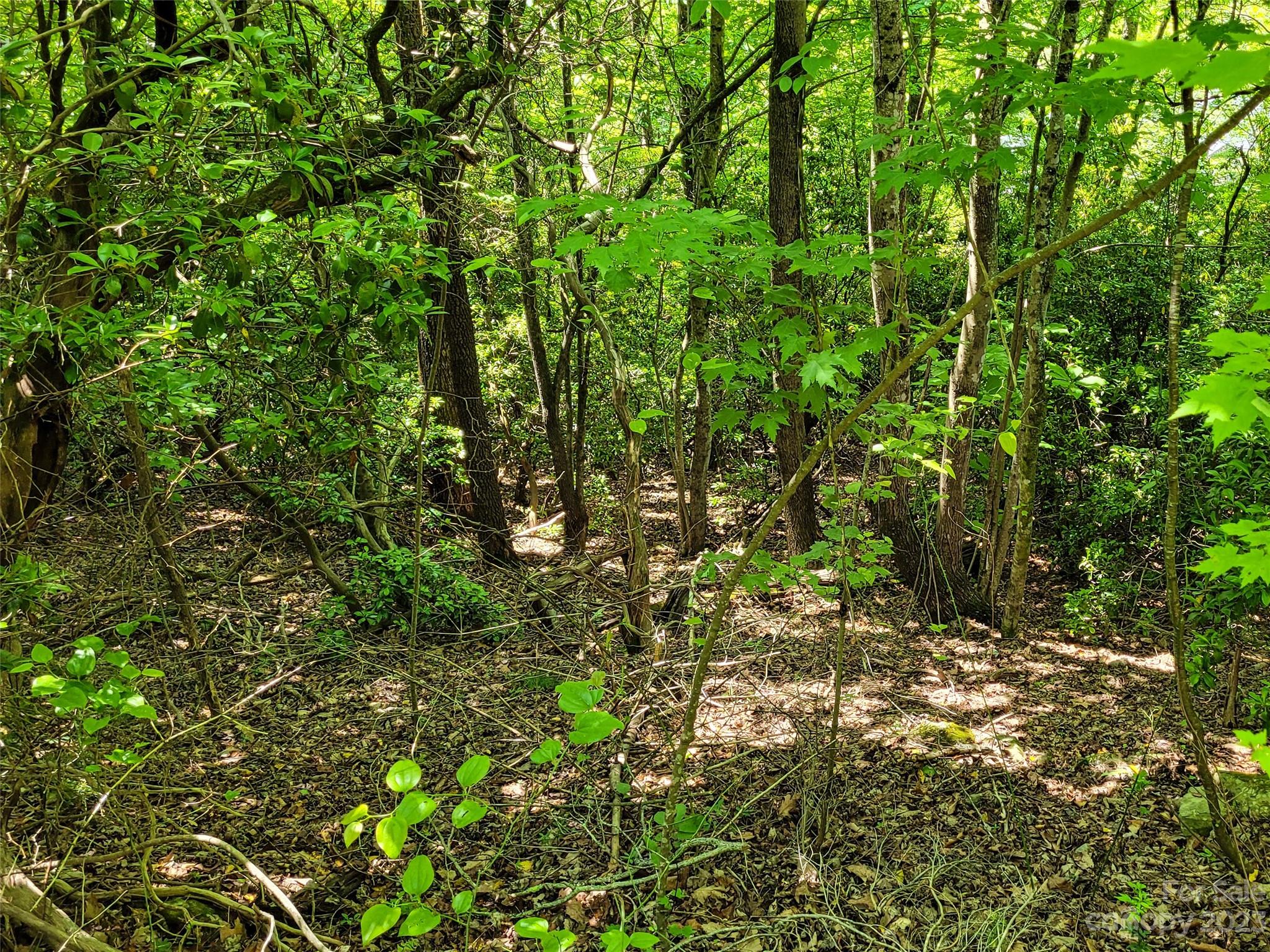 216 Bent Pine Trace 174 Property Photo 4