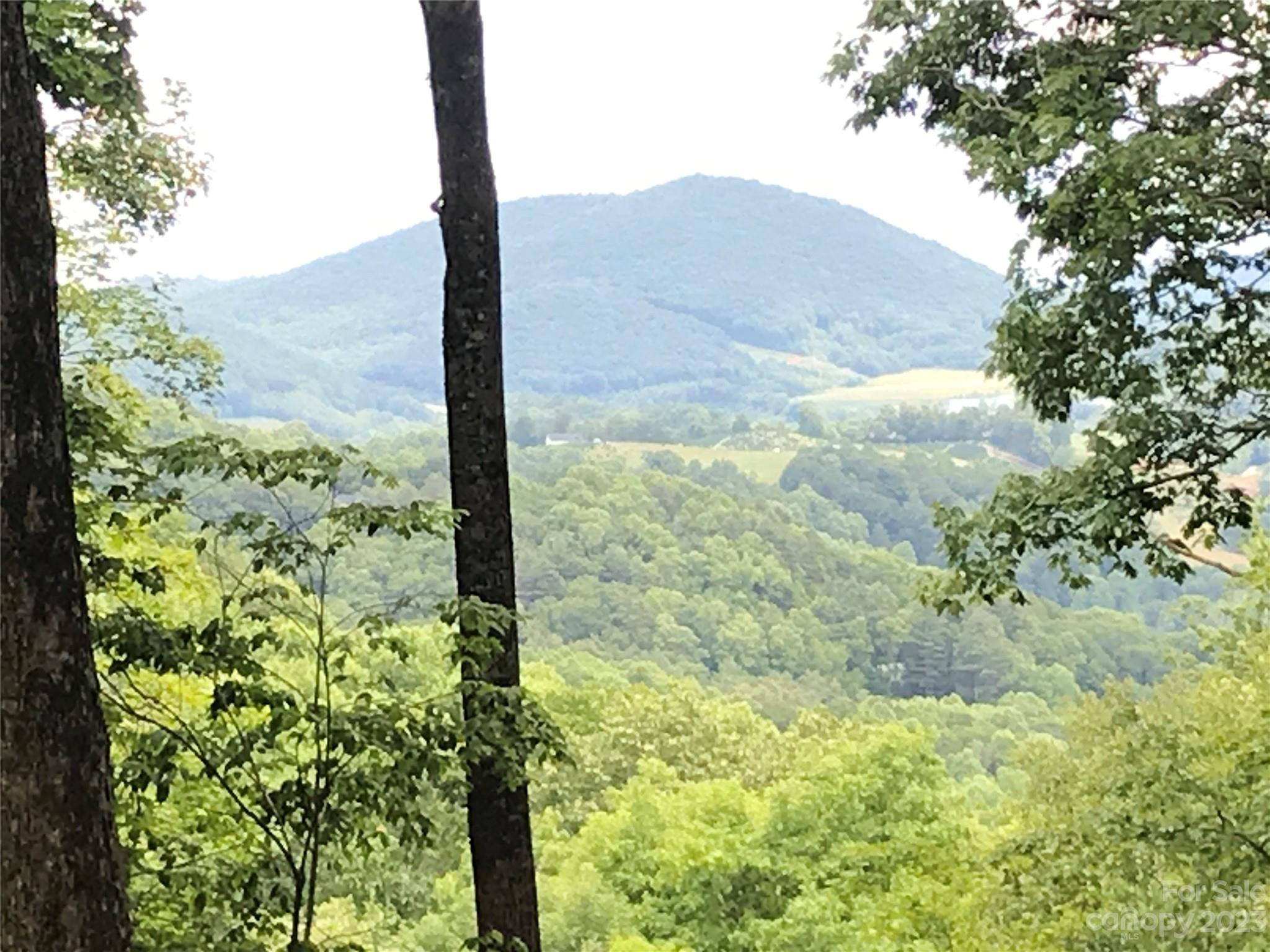 Lot 64 Poplar Forest Drive Property Photo 2